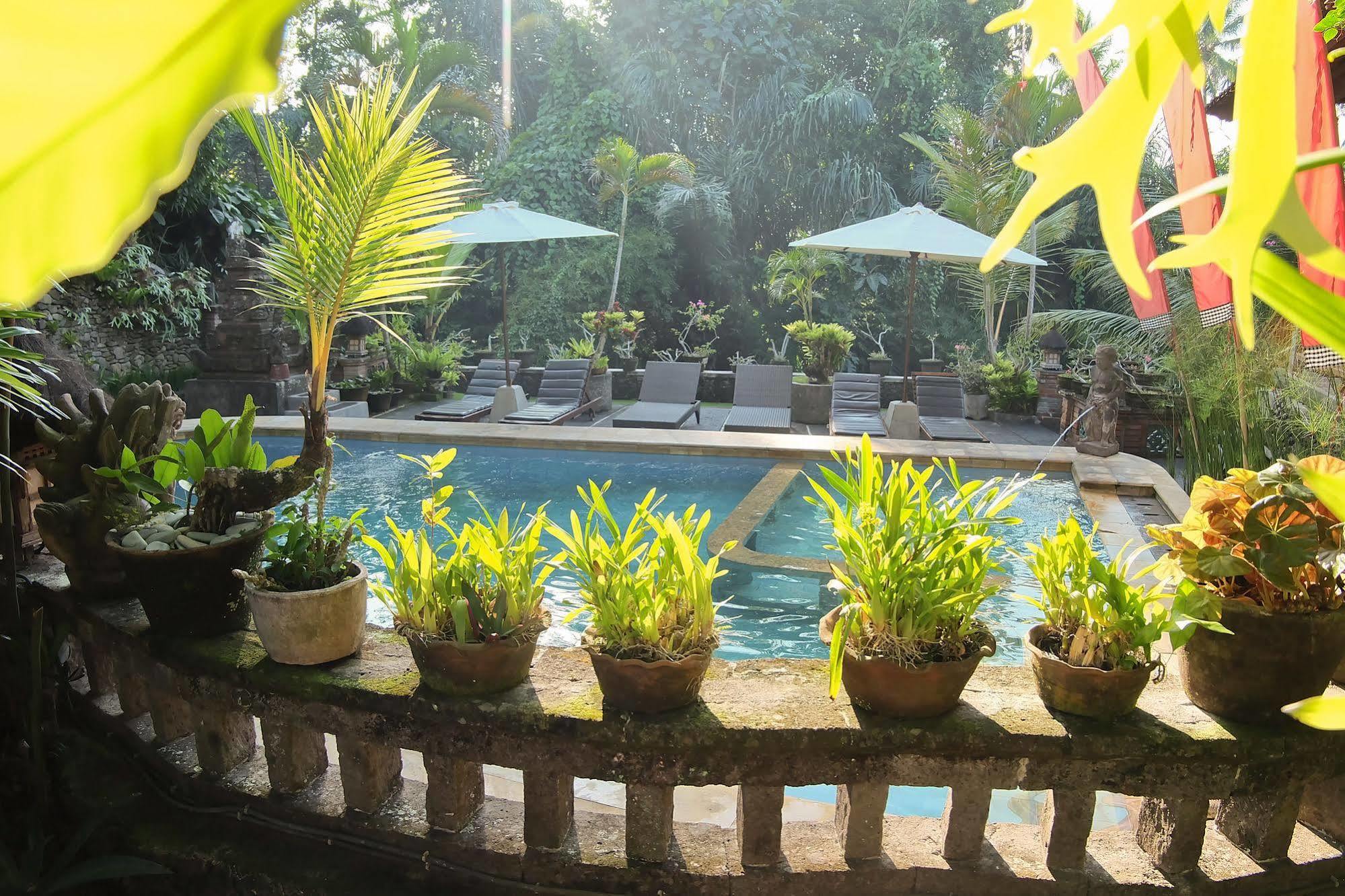 Ketut'S Place Bed & Breakfast Ubud Экстерьер фото